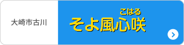 放課後等デイサービスそよ風心咲