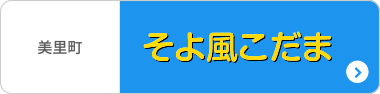 放課後等デイサービスそよ風こだま